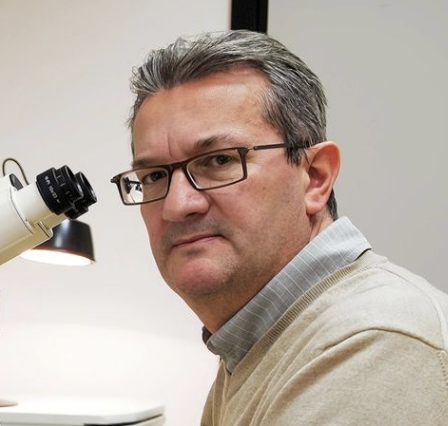 Bernardo Cesare