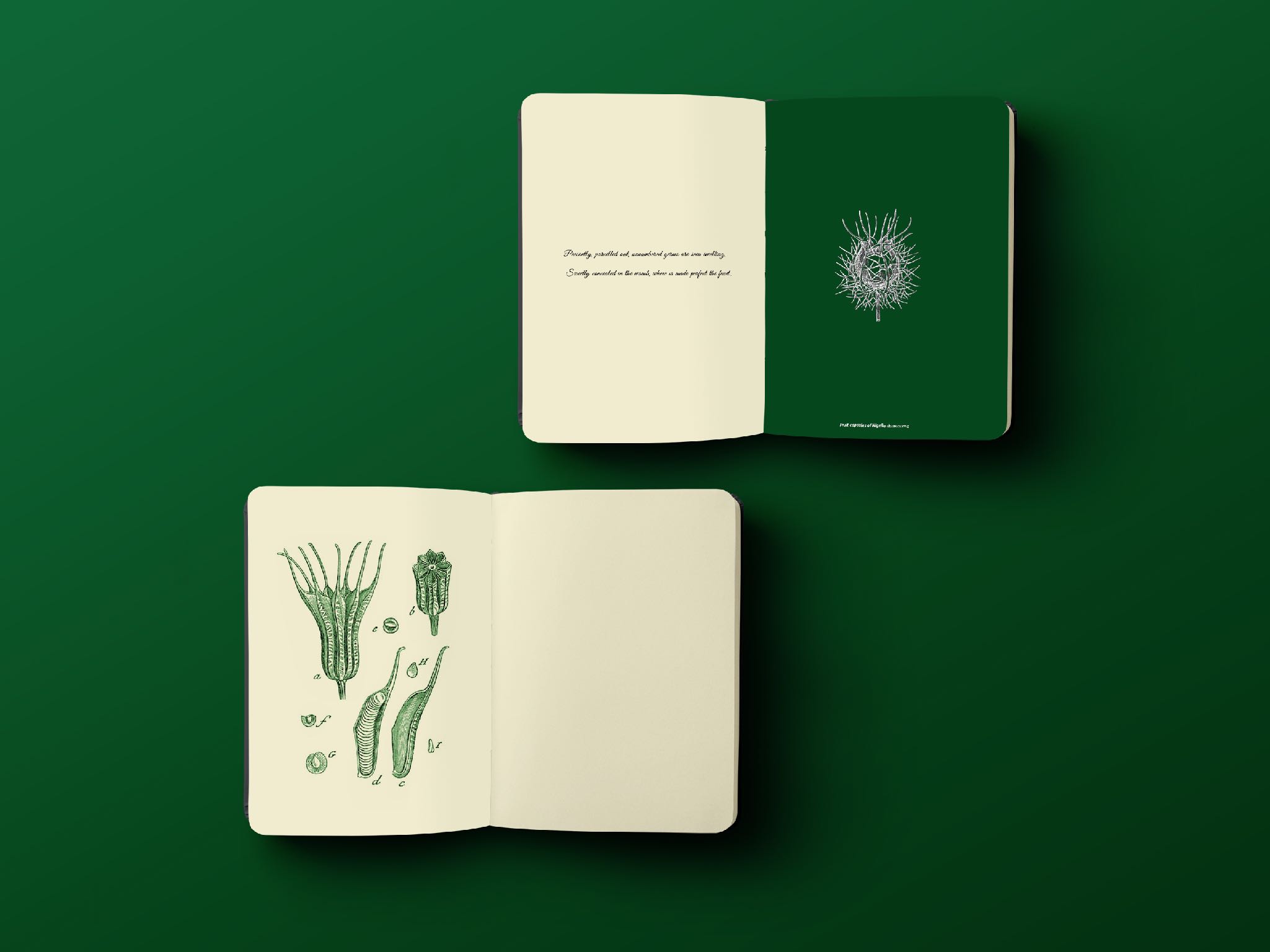 歌德