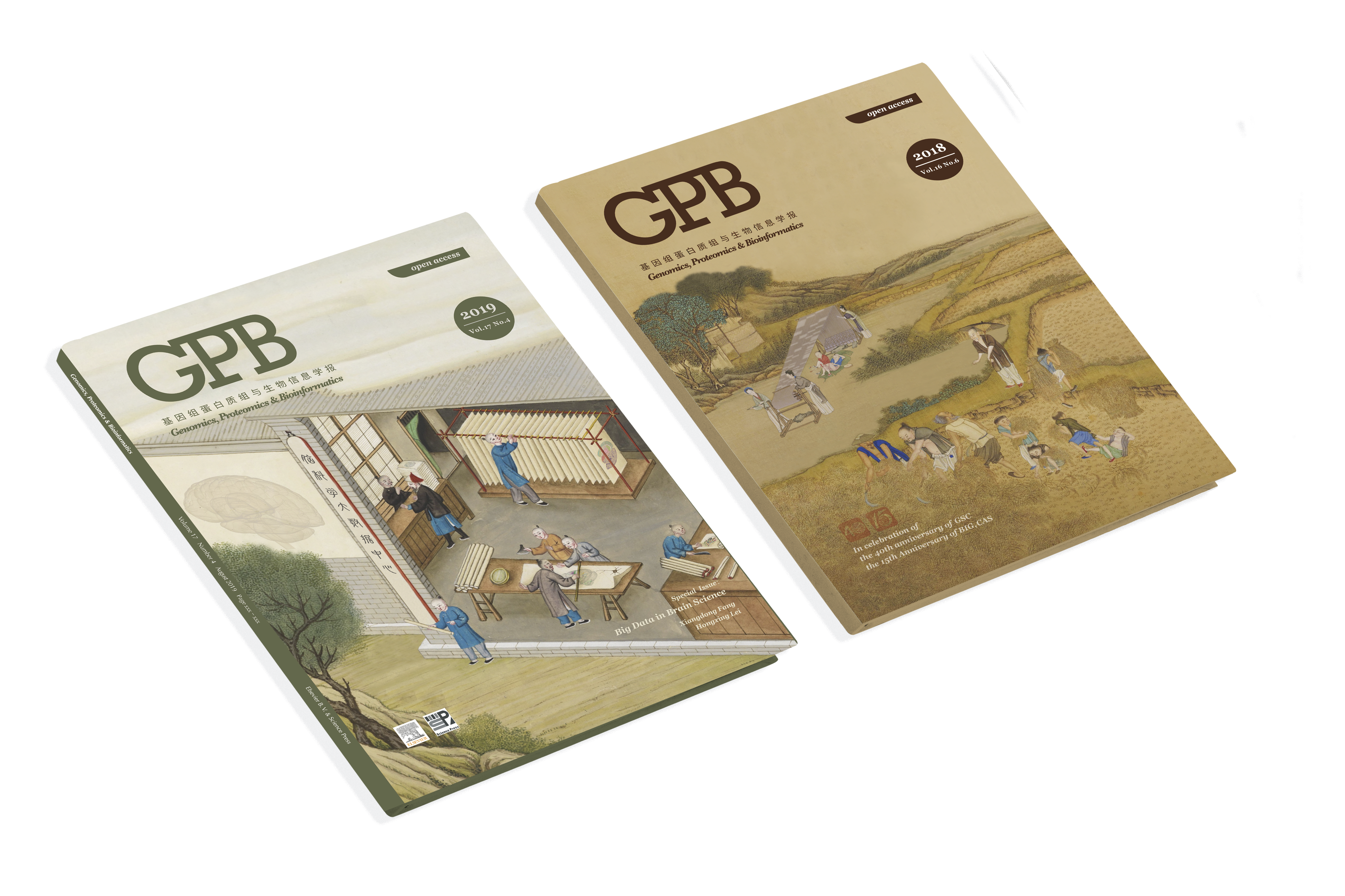 GPB display