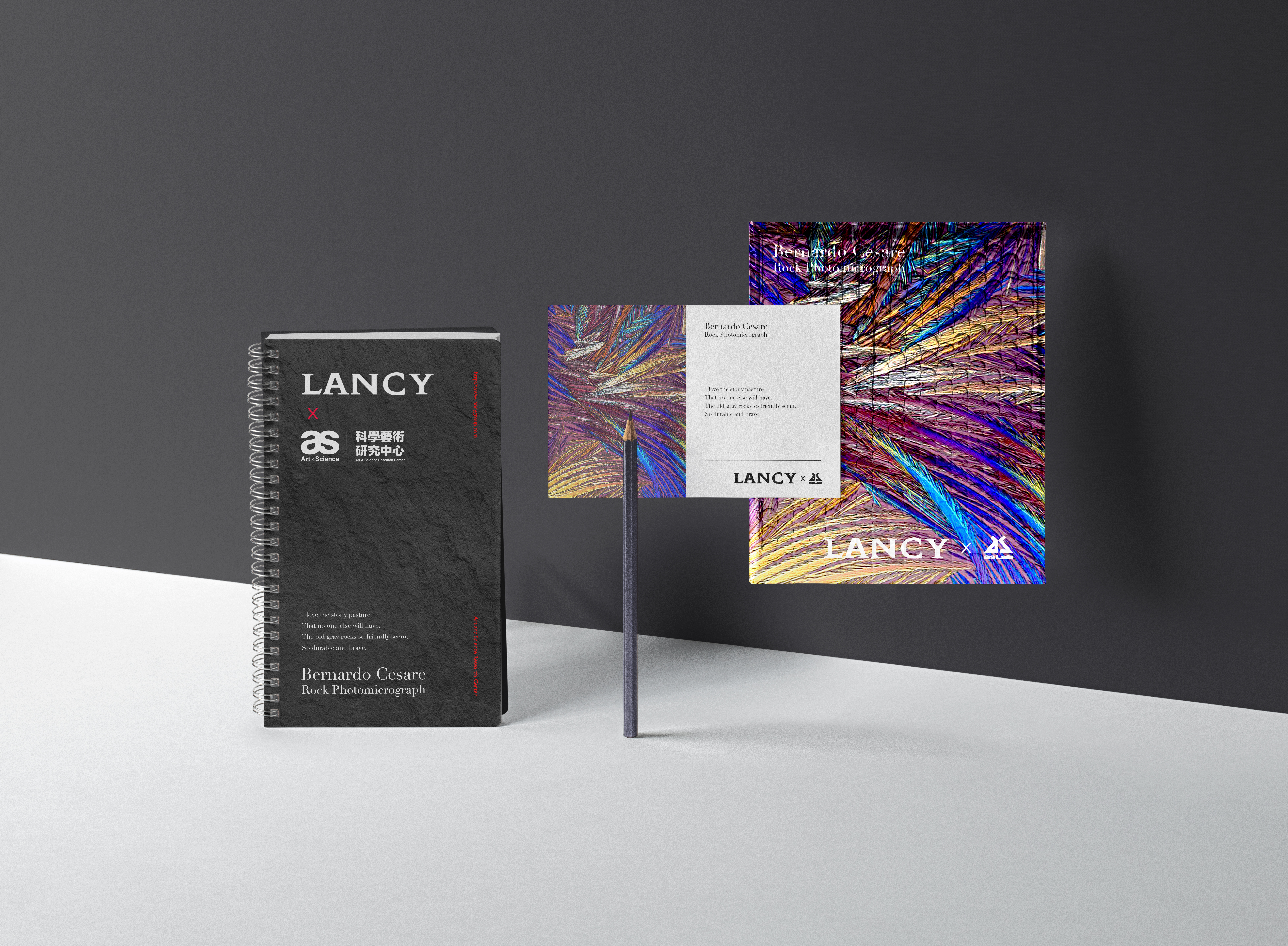 BE@R BRICK set
