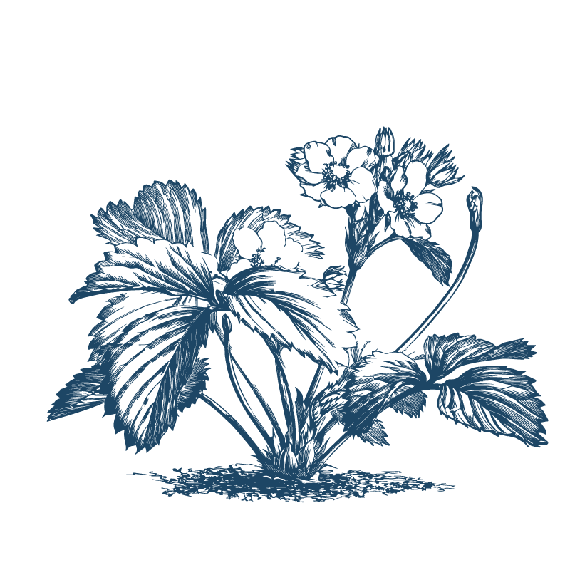 Plant icon