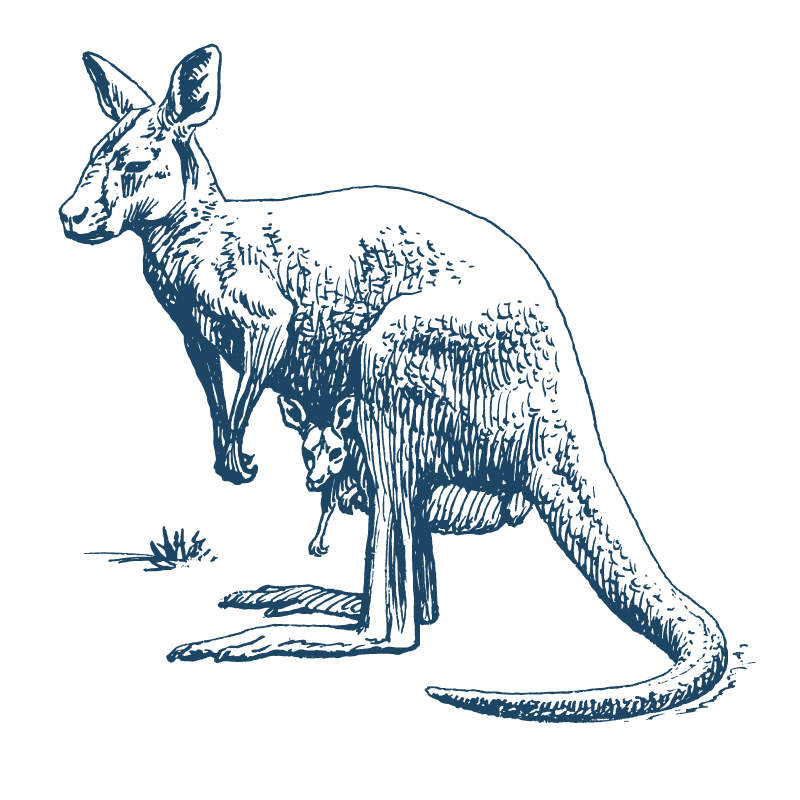 Cangaroo